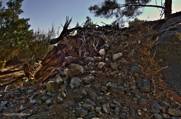 Stone and wood