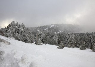 Winter 2012 in Troodos 1