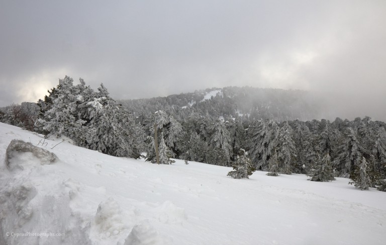 Winter 2012 in Troodos 1