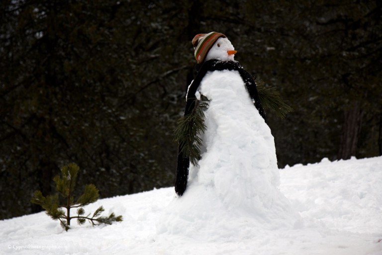 Winter 2012 in Troodos 2