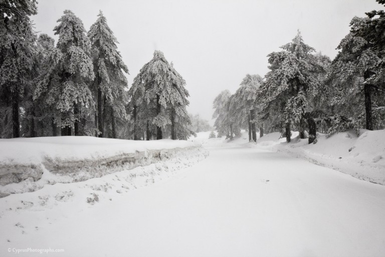 Winter 2012 in Troodos 3