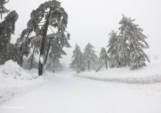 Winter 2012 in Troodos 4