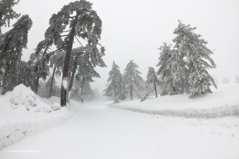 Winter 2012 in Troodos 4