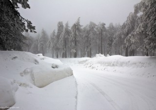 Winter 2012 in Troodos 6
