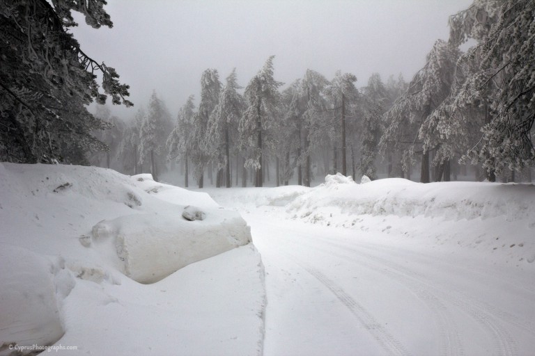 Winter 2012 in Troodos 6